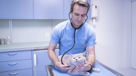 Innere-Medizin-_DSC0129